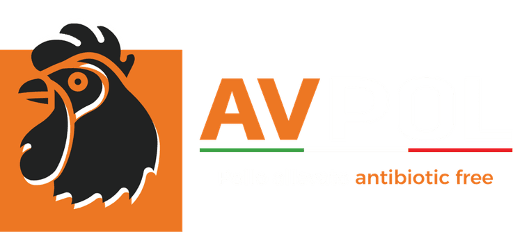 Logo AVPOL