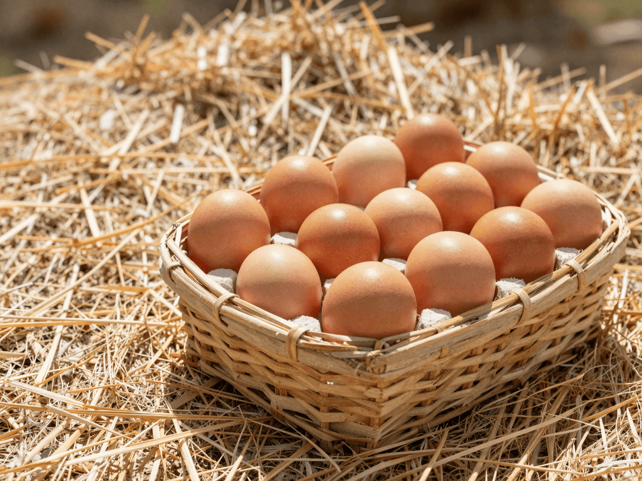 Cesto con uova fresche su paglia in luce naturale